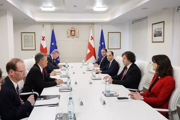 Кобахидзе встретился с сенатором Стивом Дейнсом