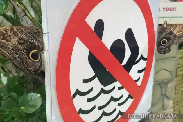 Знак запрета купания