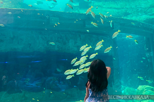 Океанариум