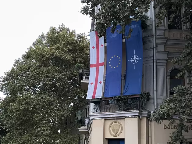 Грузия закроет Центр по вопросам НАТО и ЕС