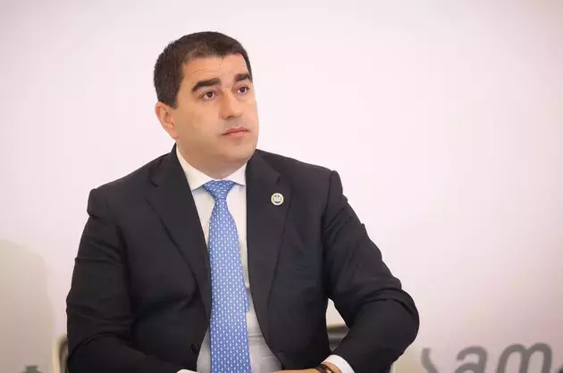 В Грузии назвали ложным нарративом критику закона об иноагентах