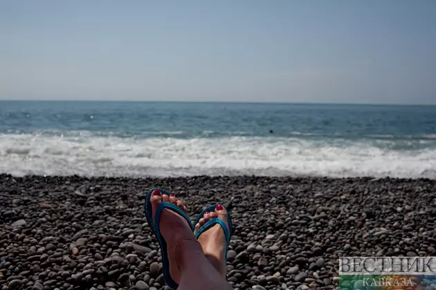 Отдых в Грузии: ядовитых рыб в Черном море не найдено