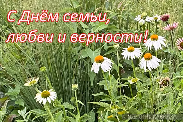 Открытка с Днем семьи любви и верности