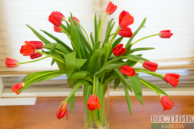 Россельхознадзор обсудит поставки армянских цветов с Ереваном