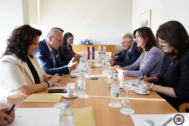 Главы МИД Грузии и Хорватии провели переговоры