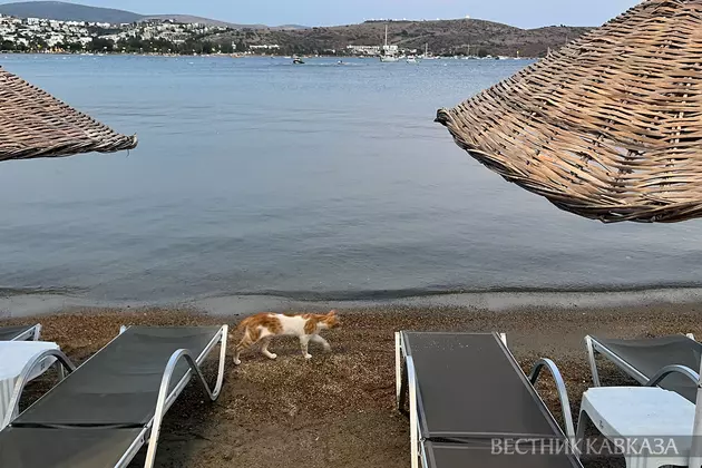 Пляж Гумбета