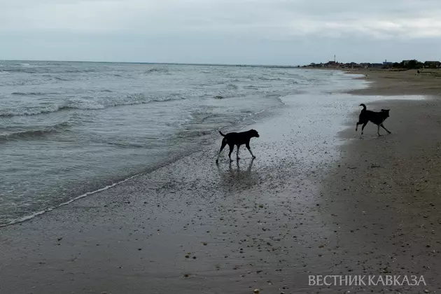 Пляж в Дербенте
