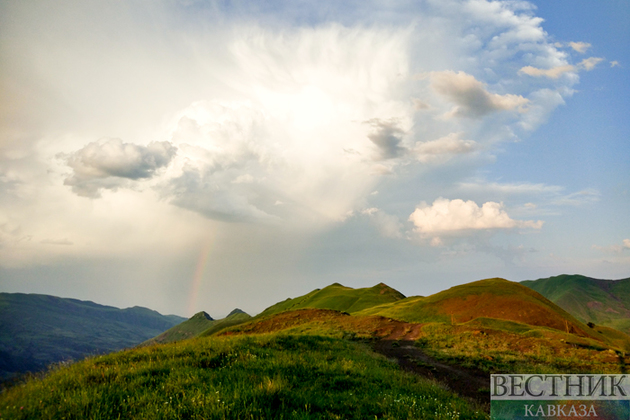 Самурский лес: как попасть в субтропические джунгли Дагестана?