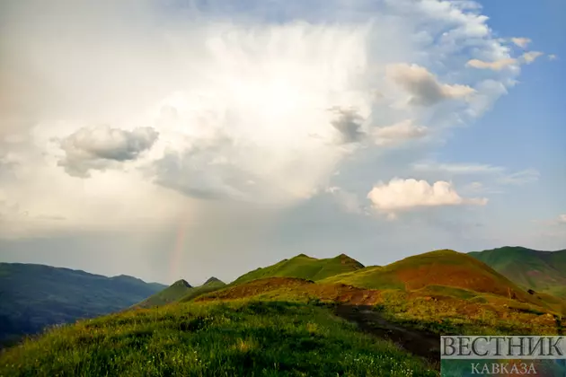 Самурский лес: как попасть в субтропические джунгли Дагестана?