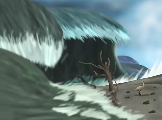 Что такое цунами и как работают системы предупреждения?