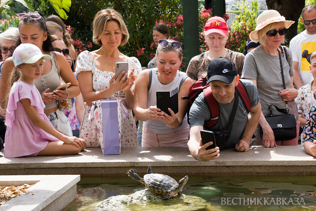 Площадка фестиваля “Лето в Москве“