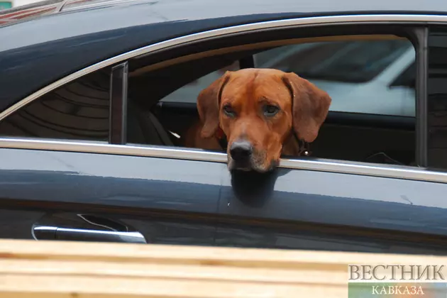 Очередь перед Крымским мостом превышает четыре часа