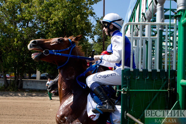 "Пятигорский ипподром" приведут в порядок по требованию прокуратуры