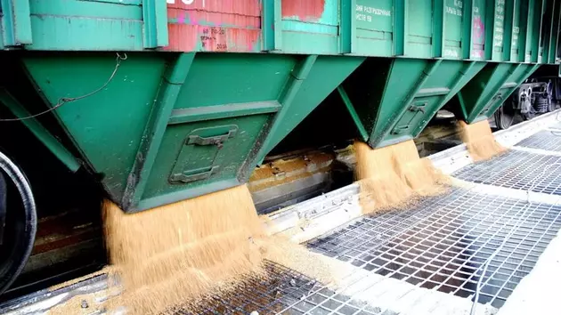 Казахстан установил новый рекорд по экспорту зерна