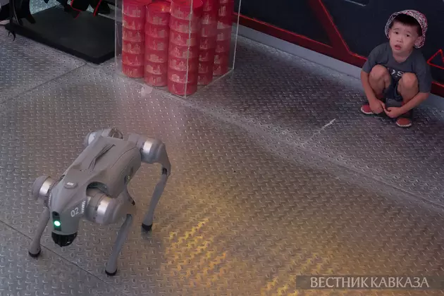 Площадка фестиваля “Территория будущего. Москва 2030“ в Парке 50-летия Октября