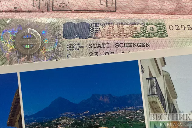 Власти Грузии раскритиковали Георгия Гахария за немецкий ВНЖ