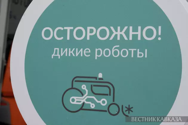 Знак Осторожно дикие роботы