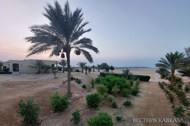 Новая Ривьера: какое будущее ждет сектор Газа?