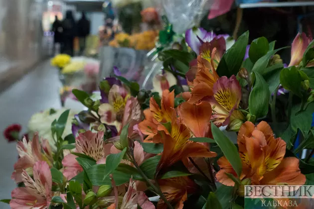 Первый фестиваль флористов и кофеен прошел в день 200-летия Черкесска