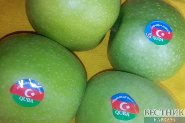 Россия закупает у Азербайджана яблоки "органик"