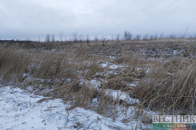 МЧС сообщило о первых заморозках на юге России