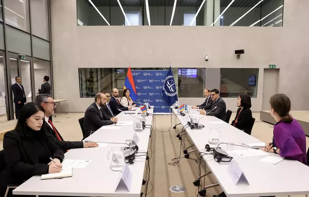 Глава МИД Армении провел переговоры с председателем МУС