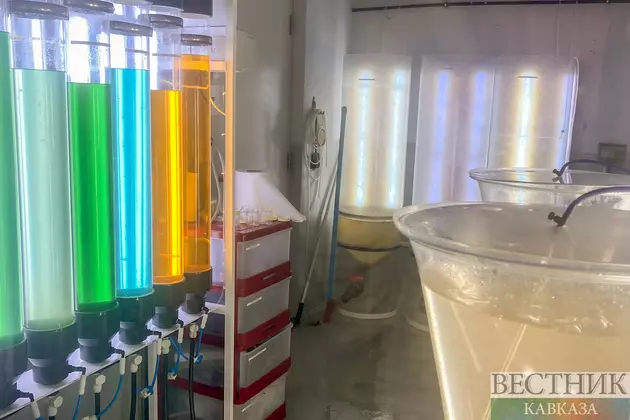 Химическая лаборатория