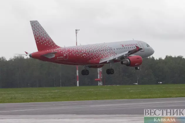 Полосу в Шереметьево не поделили два самолета