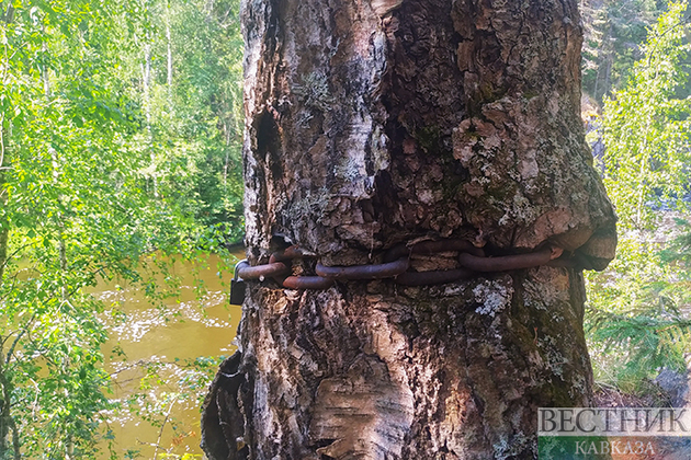 Живые свидетели многотысячелетней истории Турции