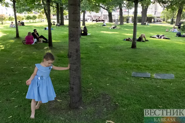 Сотни миллионов деревьев посадят в Узбекистане