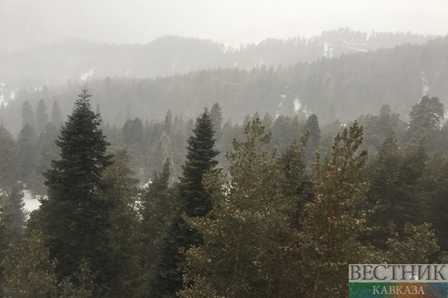 Число туристов на Северном Кавказе вырастет до 5 млн человек