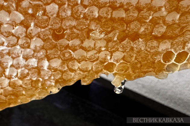 Мёд в сотах