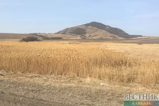 Пахари со всей России съедутся на чемпионат на Ставрополье