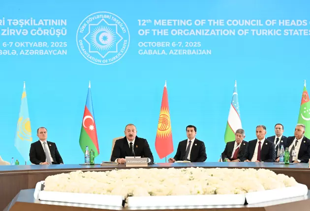 Почему Организация тюркских государств становится серьезным геополитическим центром