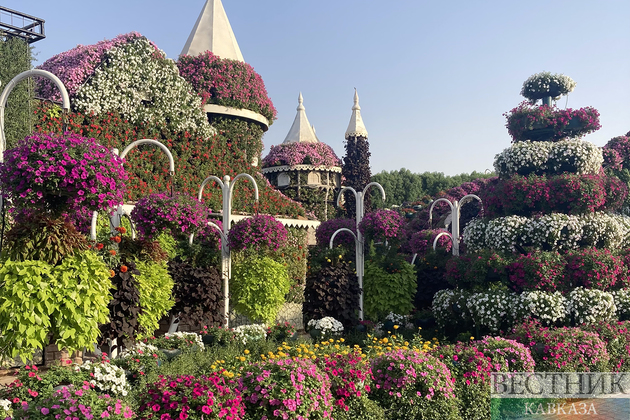 Парк Миракл Гарден