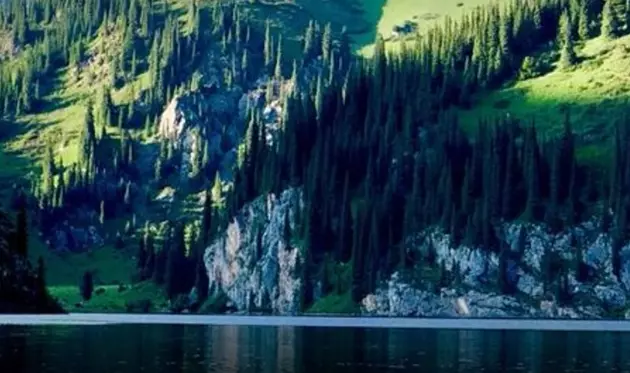 Дурову не придется платить штраф за купание в озере в Казахстане