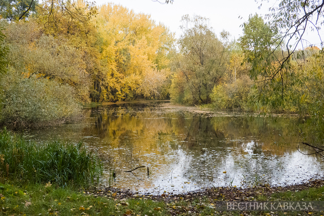 Осень в Москве