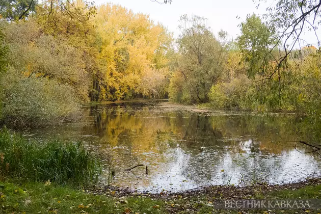 Осень в Москве