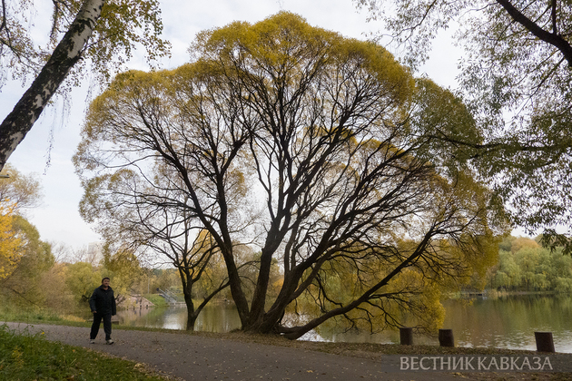 Осень в Москве