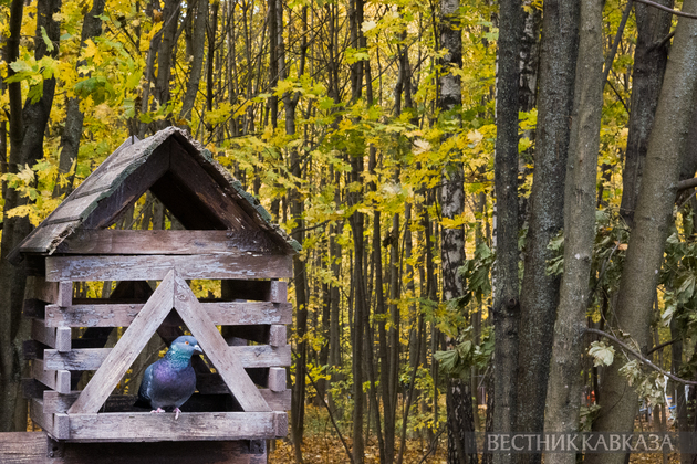 Осень в Москве