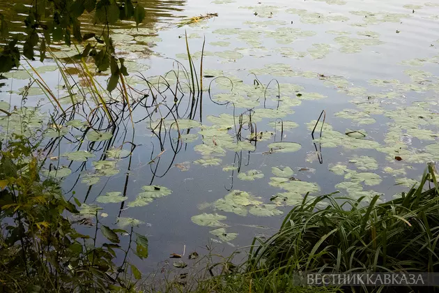 Осень в Москве