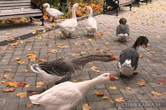 Осень в Москве