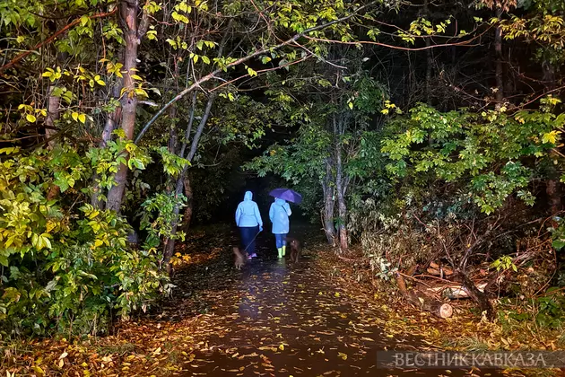 Осень в Москве