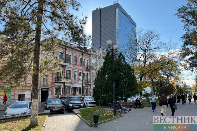 В Ростове-на-Дону высадили 9 тыс деревьев и кустарников