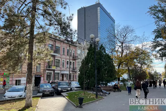 В Ростове-на-Дону высадили 9 тыс деревьев и кустарников