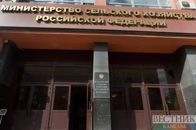 Экспорт продукции АПК из России в Казахстан в 2024 году составил почти 8 млн т