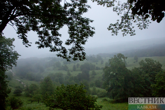 Природный заказник откроют в Дагестане до конца года