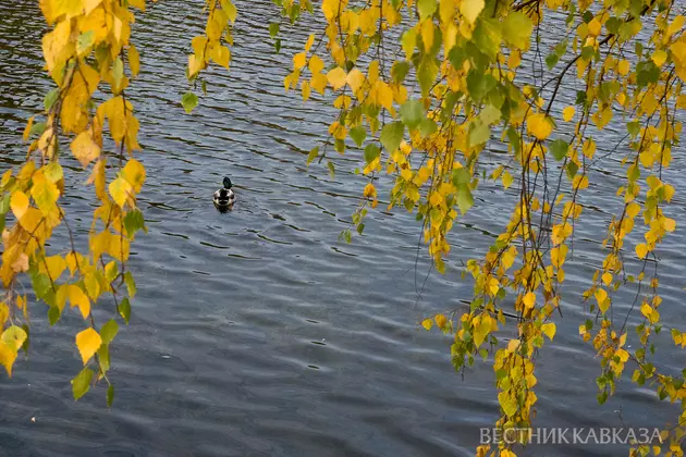 Осень в Москве