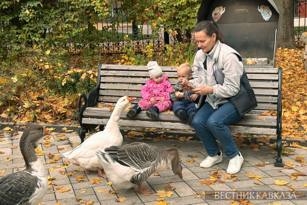 Гуси у Покровской церкви в Покровское-Стрешнево