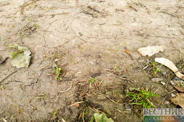 Тегерану угрожает историческая засуха